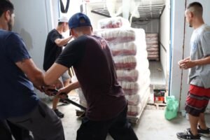 Funcionário carrega uma empilhadeira com sacos de alimentos